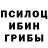 Псилоцибиновые грибы Psilocybe Vilta *