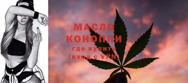 молекула духа Алексеевка