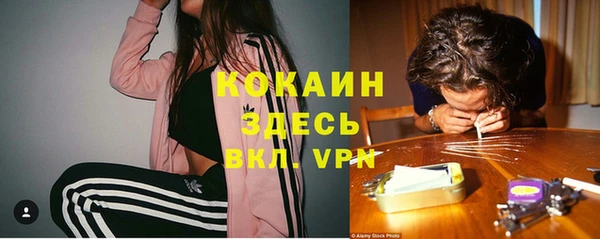 тгк Алзамай