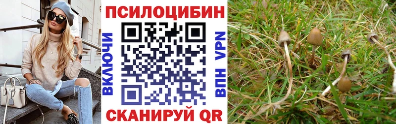 Галлюциногенные грибы GOLDEN TEACHER  купить   Межгорье 